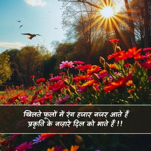 Beautiful Nature Shayari Beautiful Nature Shayari