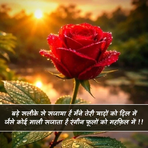 Flower Phool Shayari Flower Phool Shayari