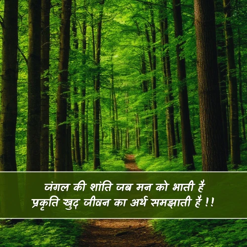Life Nature Shayari Life Nature Shayari