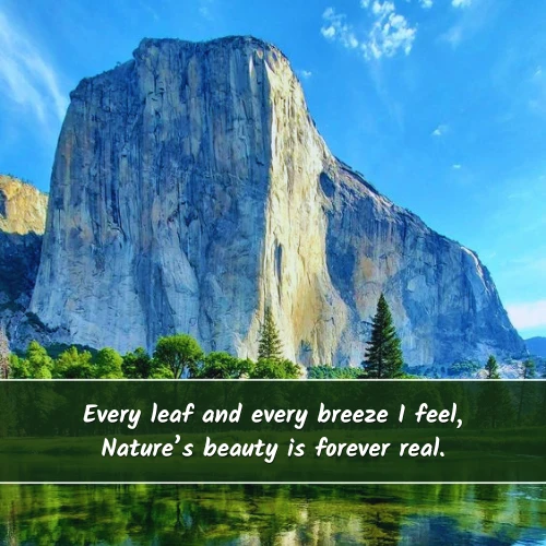 Nature Shayari in English Nature Shayari in English