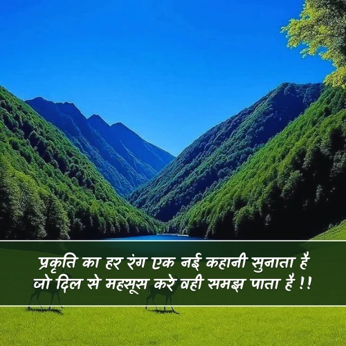 Nature Shayari Nature Shayari