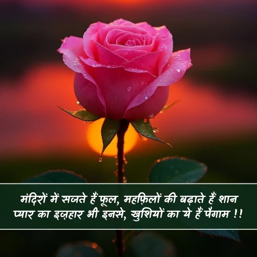 Phool Shayari 2 Line Phool Shayari 2 Line
