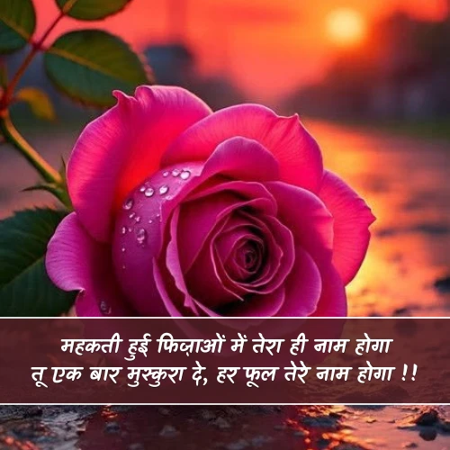 Romantic Phool Shayari Romantic Phool Shayari