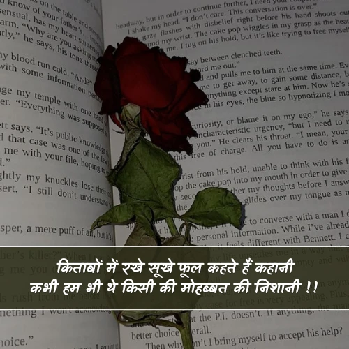 Sukhe Phool Shayari Sukhe Phool Shayari