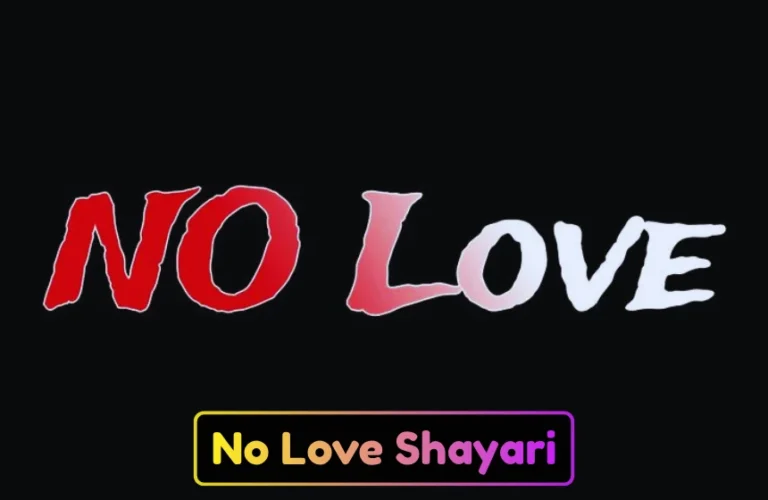 No Love Shayari