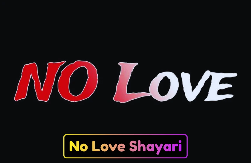 No Love Shayari