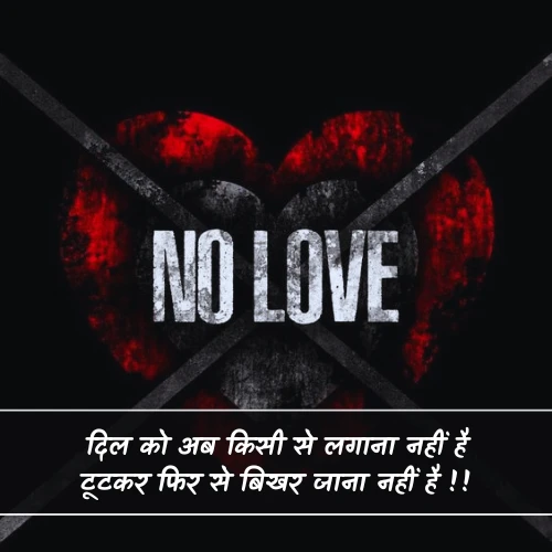 No Love Shayari Girl No Love Shayari Girl