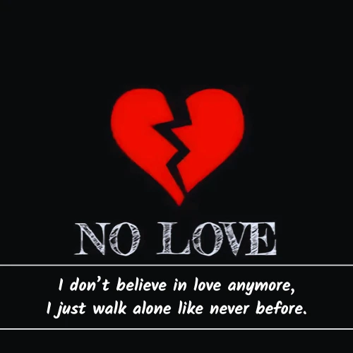 No Love Shayari in English No Love Shayari in English