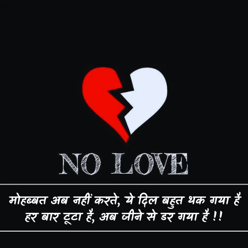 No Love Shayari No Love Shayari