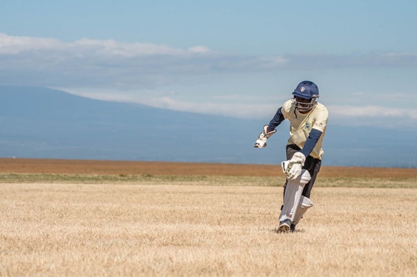 Partnerships and Pressure Designing Live Cricket